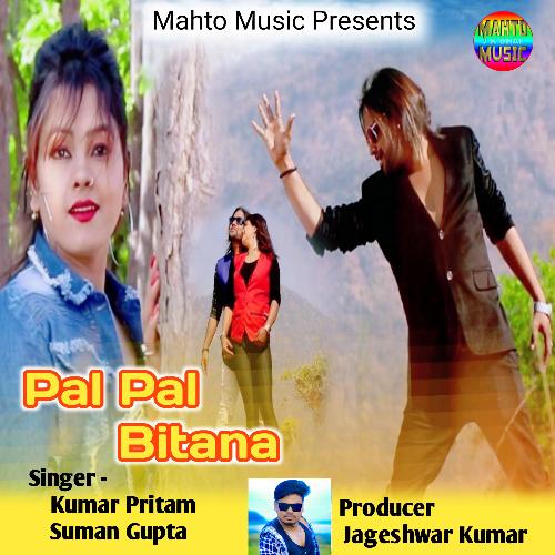 Pal Pal Bitana_poster_image