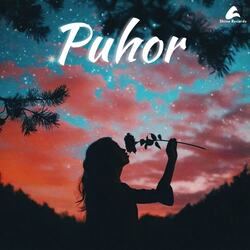 Puhor-IiACQB9AZHk