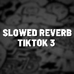 Slowed Reverb TikTok 3 (Remix)