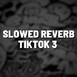 Slowed Reverb TikTok 3 (Remix)