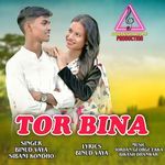 TOR BINA