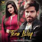 Tera Ishq