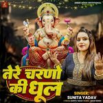 Tere Charano Ki Dhool