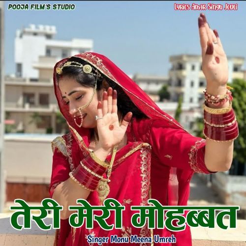 Teri Meri Mohabbat