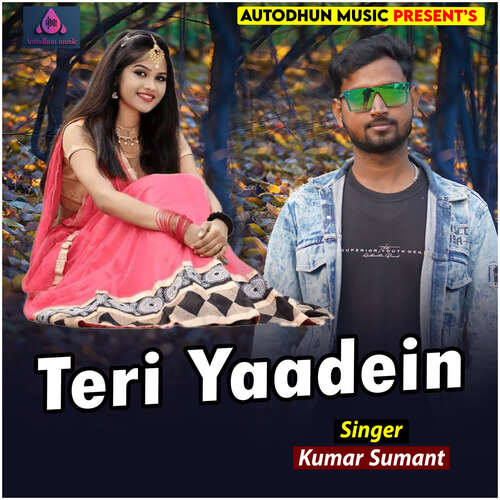 Teri Yaadein