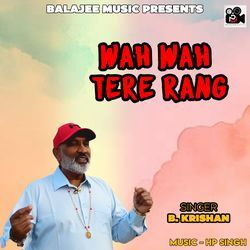 Wah Wah Tere Rang