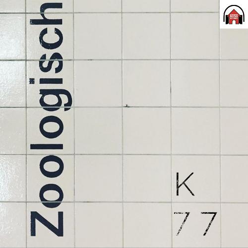 Zoologisch (Vykvet Pumpin Remix) cover art