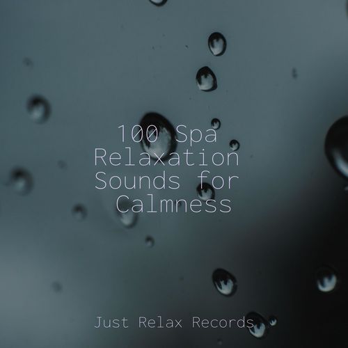 Mist Laced Melodies cover art