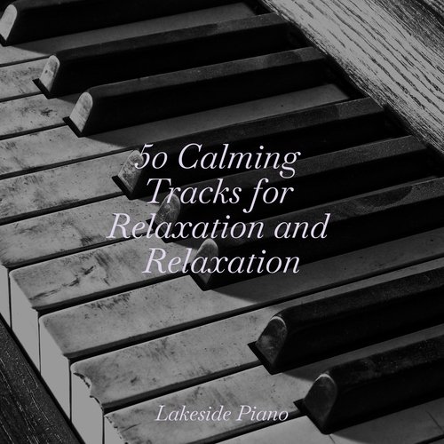 50 Calming Tracks for Relaxation and Relaxation_poster_image