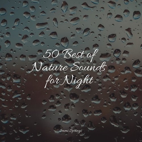 50 Pure Winter Rain & The Songs