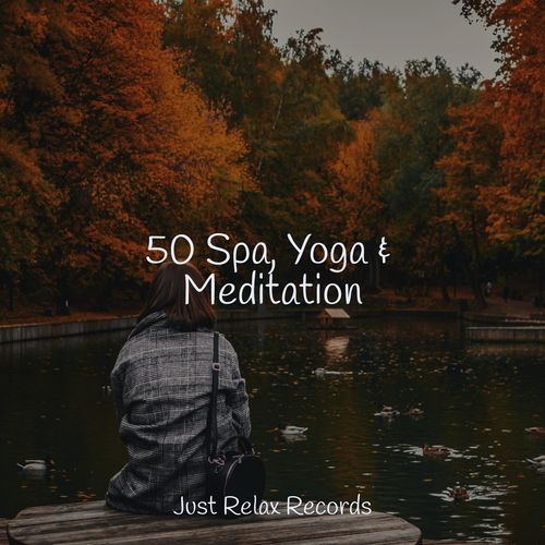 50 Spa, Yoga & Meditation_poster_image