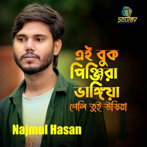 Ai Buk Pinjira Vangiya Geli Tui Uriya