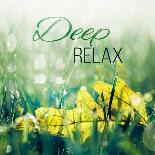 Deep Relax – Yoga Music, Surya Namaskar, Asana Positions, Meditation and Relaxation Music, Welness and SPA