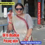 Dil ki Dhadkan Patang udav