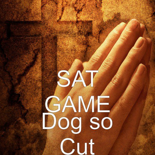 Dog so Cut_poster_image