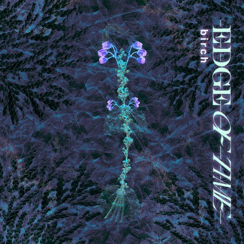 Edge of Time