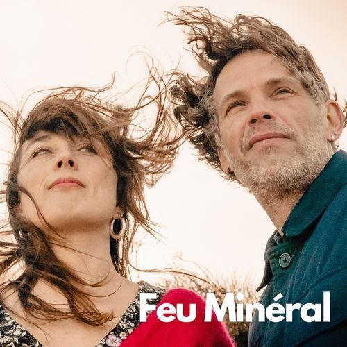 Feu Minéral cover art