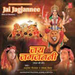 Aaungi Aaungi Main Agle Baras Phir Aaungi