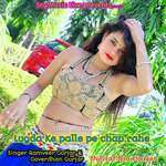 Lugda Ke Palle Pe Chap Rahe