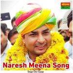 Naresh Meena Song artwork