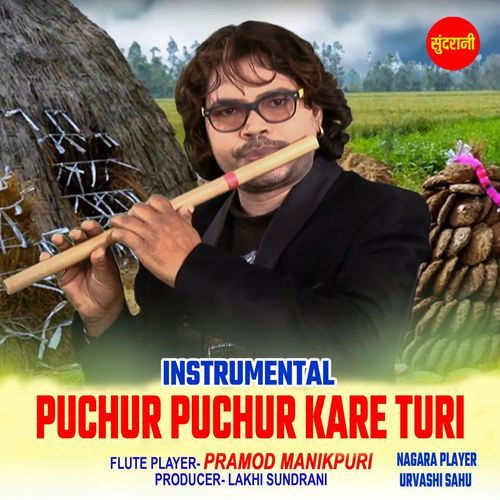 Puchur Puchu Kare Turi Instrumental