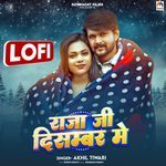 Raja Ji December Me ( Lofi )