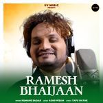 Ramesh Bhaijaan artwork