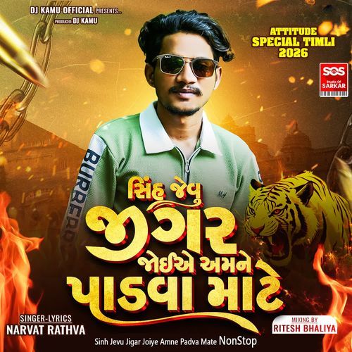 Sinh Jevu Jigar Joiye Amne Padva Mate NonStop