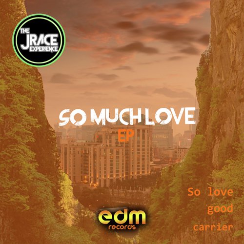 So Much Love_poster_image