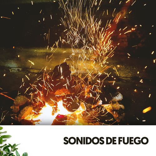 Sonidos de Fuego: A Musical Blaze of Emotions_poster_image