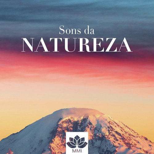 Sono Profundo cover art