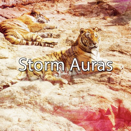 Storm Auras