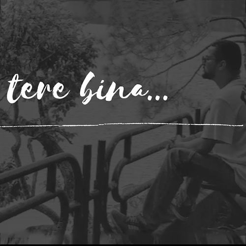 Tere Bina by Vikash Upadhyay cover art