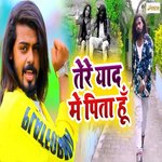Tere Yaad Me Pita Hu
