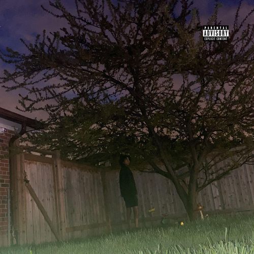 Ghosts in the Attic cover art