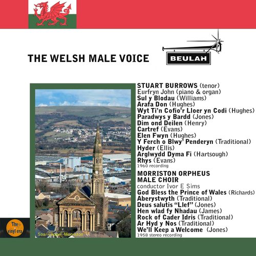 The Welsh Male Voice_poster_image