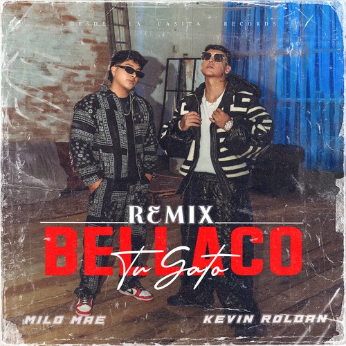 Tu Gato Bellaco (Remix)_poster_image