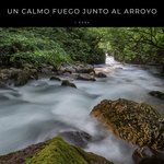 Un Calmo Fuego Junto Al Arroyo - 1 Hora