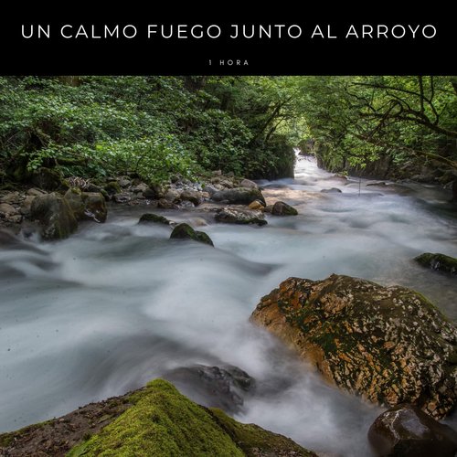 Un Calmo Fuego Junto Al Arroyo - 1 Hora