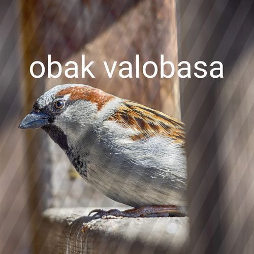 obak valobasa