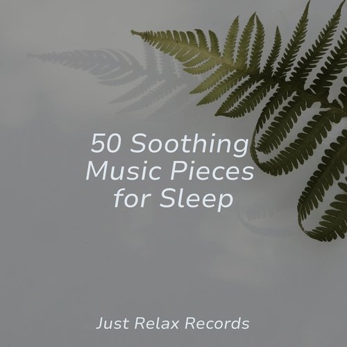 50 Soothing Music Pieces for Sleep