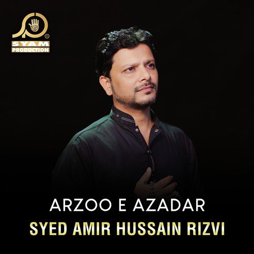 Syed Amir Hussain Rizvi
