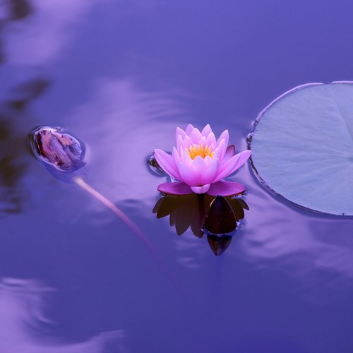 Peace and kindness