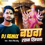 Baghwa Rathwa Khichata - DJ Remix