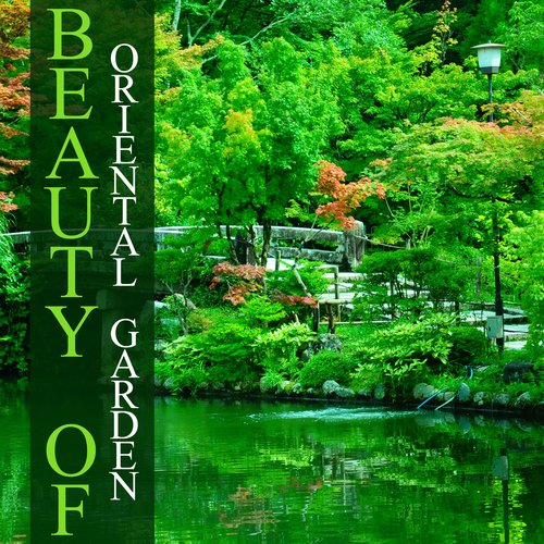 Natural Soul cover art