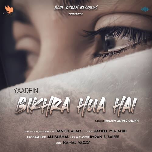 Bikhra Hua Hai_poster_image