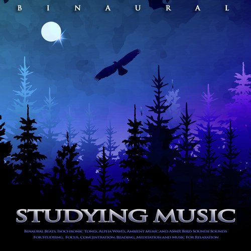 Study Alpha Waves cover art
