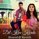 Dil Kive Karda (Slowed &amp; Reverb)