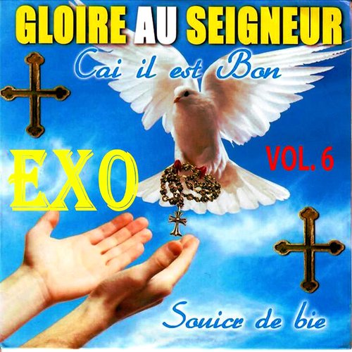Gloire au Seigneur, Vol. 6