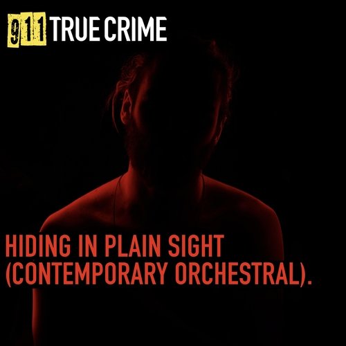 Hiding in Plain Sight (Contemporary Orchestral)_poster_image